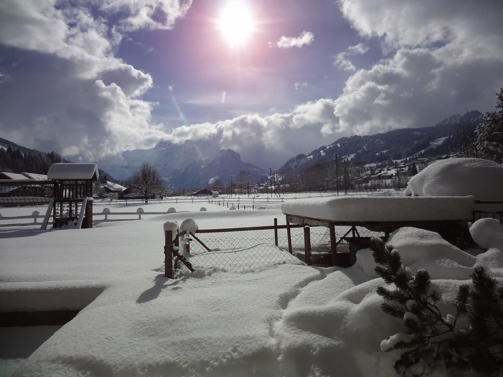 Hotel Simmenhof Lenk Eksteriør billede